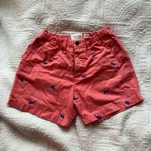 Abercrombie and Fitch preppy shorts